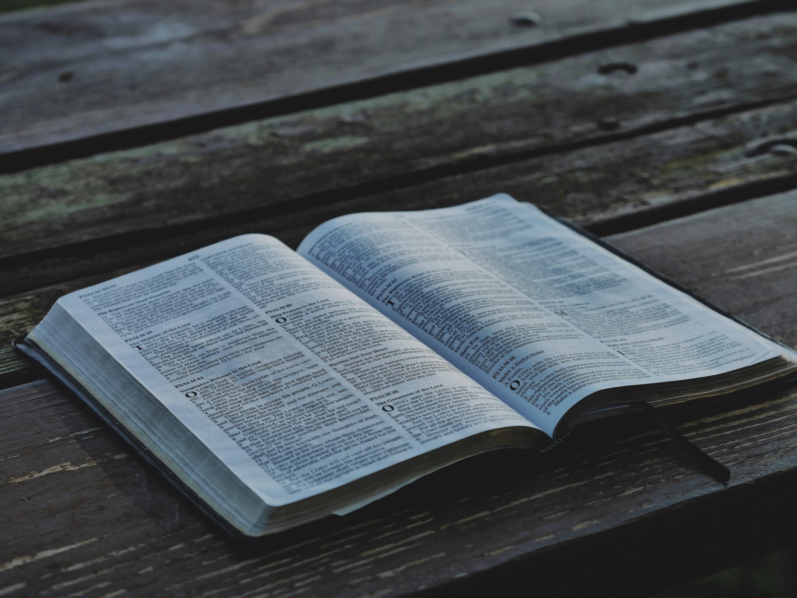 Open Bible — World Changers Bible Institute